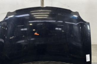 Capot VOLKSWAGEN POLO 4 Photo n°1