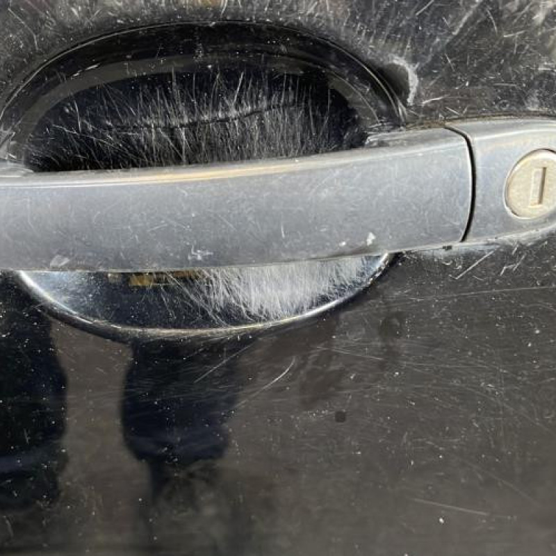 Porte avant gauche VOLKSWAGEN POLO 4 Photo n°2