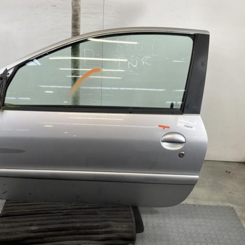 Porte avant gauche PEUGEOT 206 Photo n°1