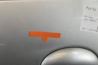 Porte avant gauche PEUGEOT 206