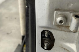 Porte avant gauche PEUGEOT 206