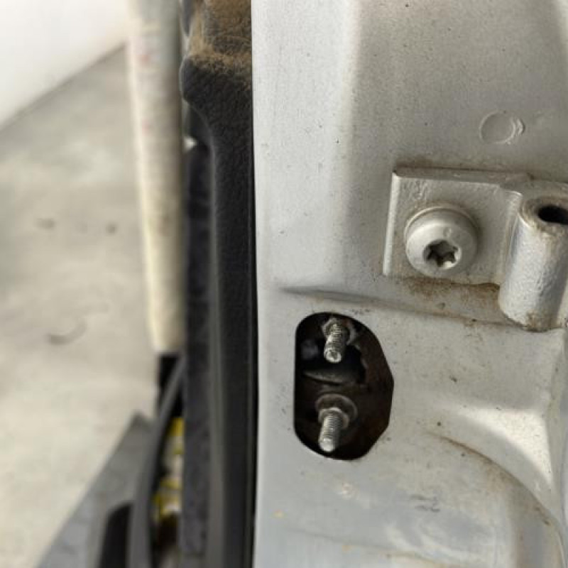 Porte avant gauche PEUGEOT 206 Photo n°6