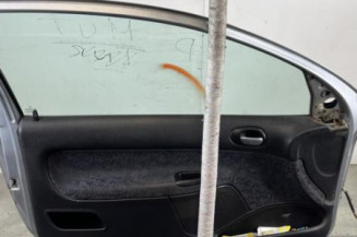 Porte avant gauche PEUGEOT 206