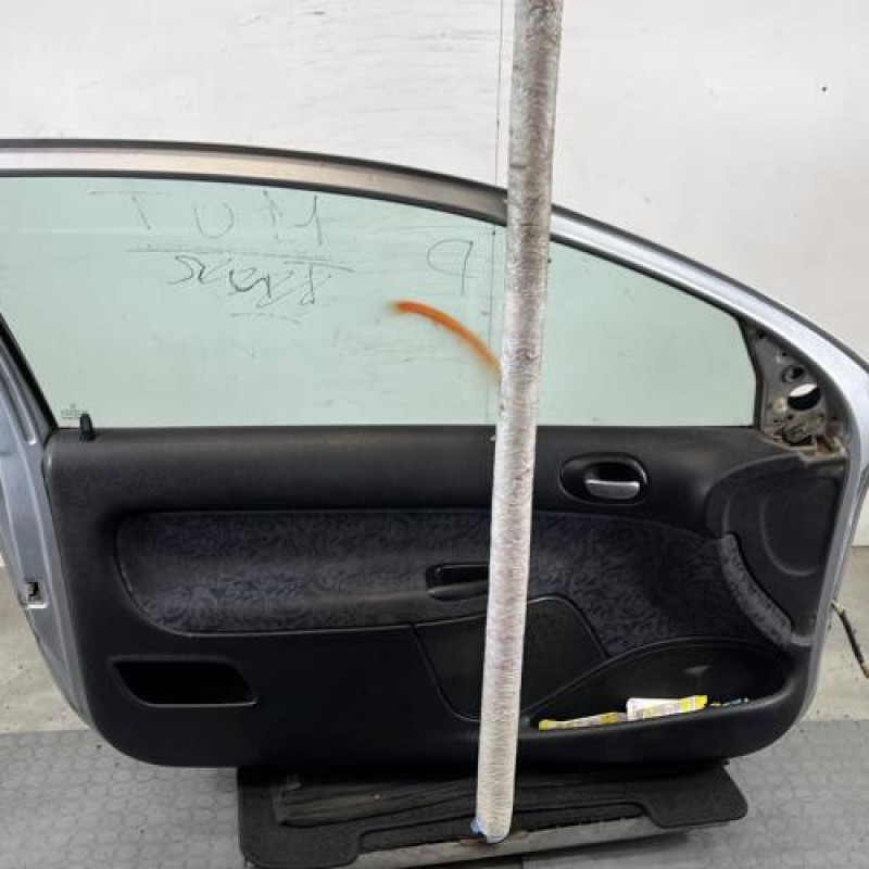 Porte avant gauche PEUGEOT 206 Photo n°8