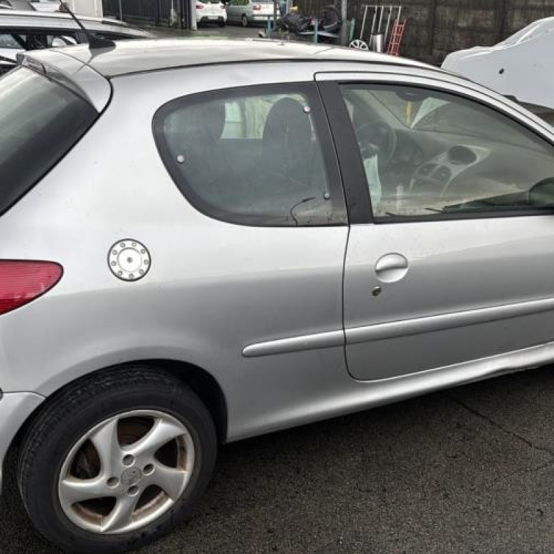 Porte avant gauche PEUGEOT 206 Photo n°15