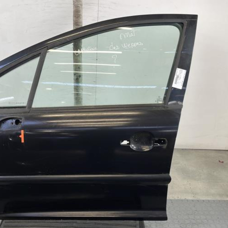 Porte avant gauche PEUGEOT 207 Photo n°1