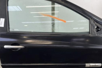 Porte avant droit RENAULT CLIO 3 Photo n°1