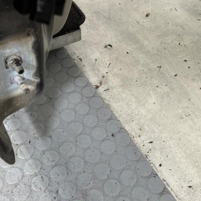 Porte avant droit RENAULT CLIO 3 Photo n°5