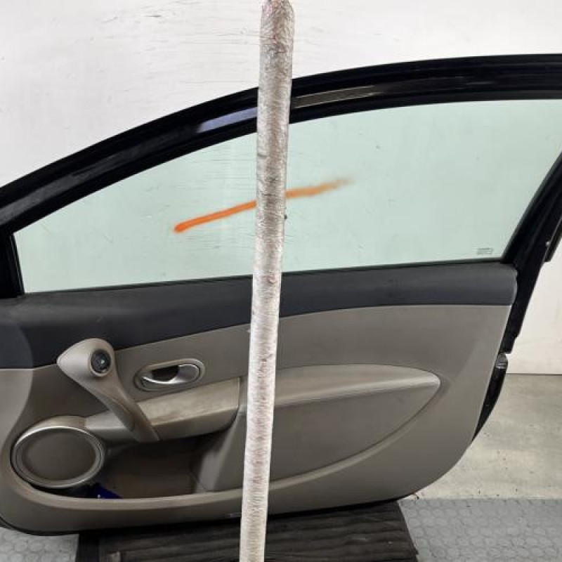 Porte avant droit RENAULT CLIO 3 Photo n°6
