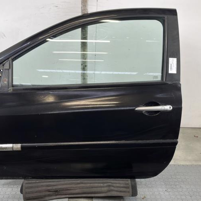 Porte avant gauche RENAULT CLIO 3 Photo n°1