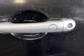 Porte avant gauche RENAULT CLIO 3