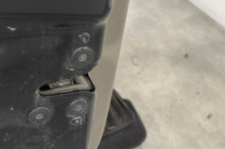 Porte avant gauche RENAULT CLIO 3