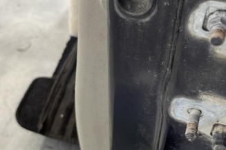 Porte avant gauche RENAULT CLIO 3