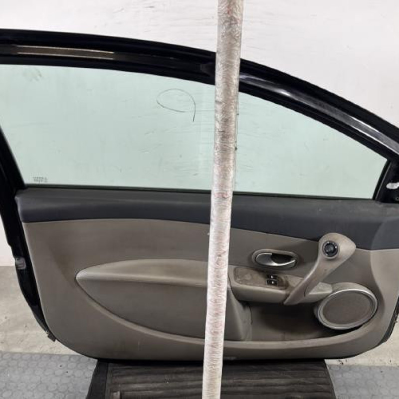 Porte avant gauche RENAULT CLIO 3 Photo n°6