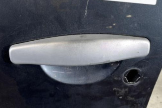 Porte avant gauche DACIA SANDERO 1