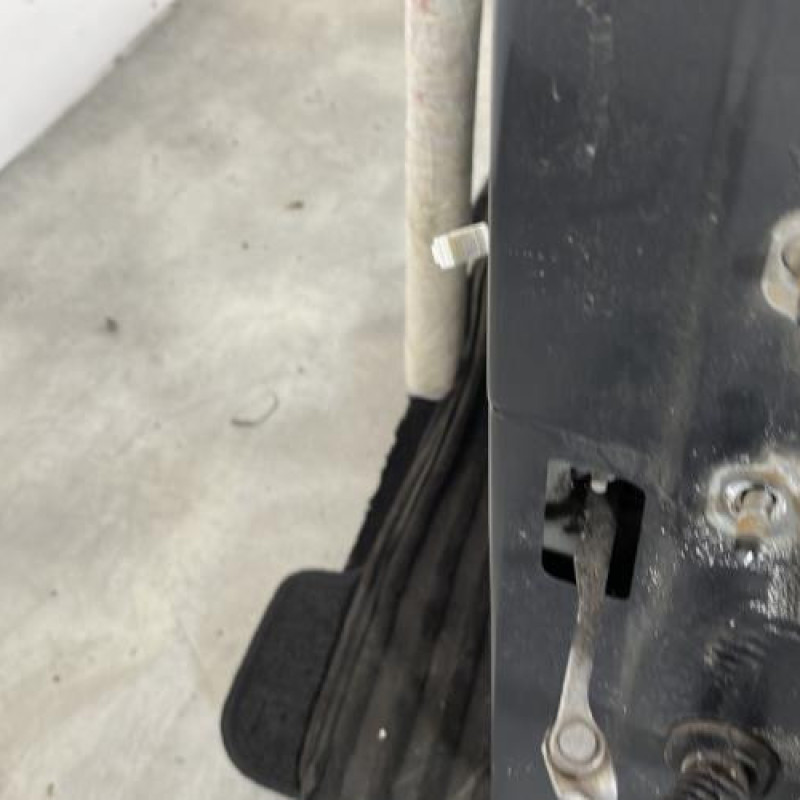 Porte avant gauche DACIA SANDERO 1 Photo n°3