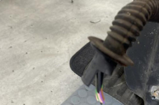 Porte avant gauche DACIA SANDERO 1