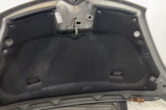 Capot CITROEN C4 GRAND PICASSO 1