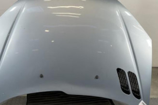 Capot PEUGEOT 206 Photo n°1