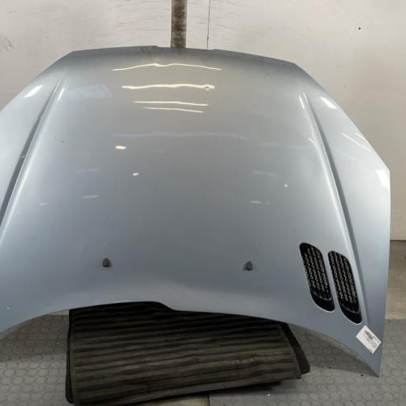 Capot PEUGEOT 206 Photo n°1