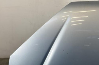 Capot PEUGEOT 206