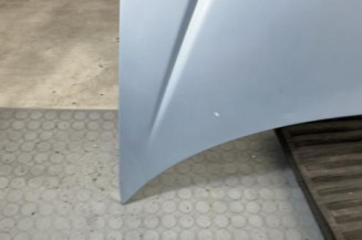 Capot PEUGEOT 206