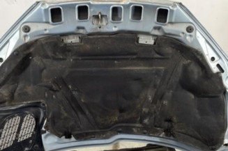 Capot PEUGEOT 206
