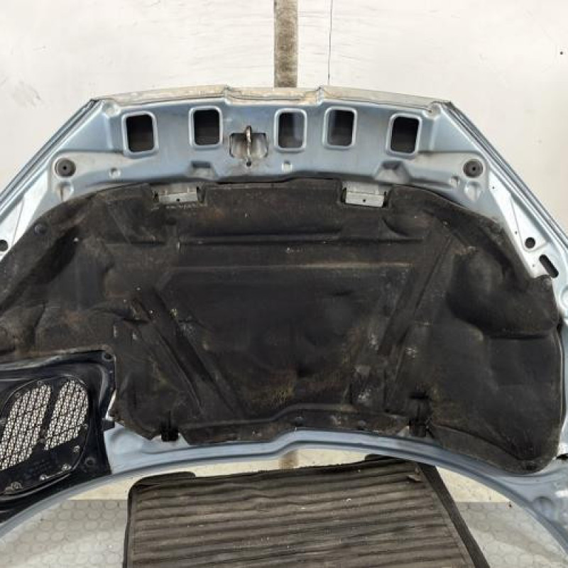 Capot PEUGEOT 206 Photo n°6