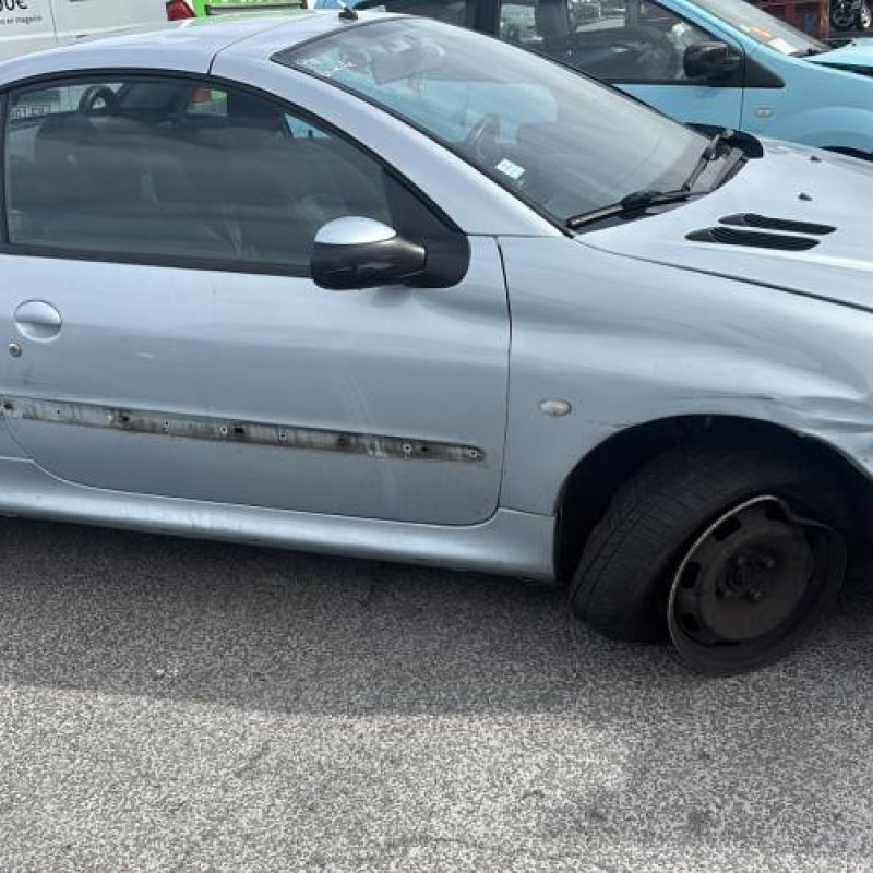 Capot PEUGEOT 206 Photo n°13