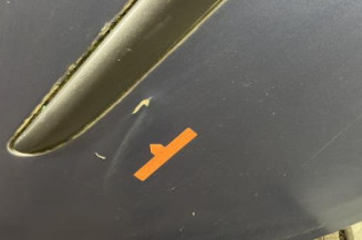 Porte arriere droit RENAULT CLIO 3