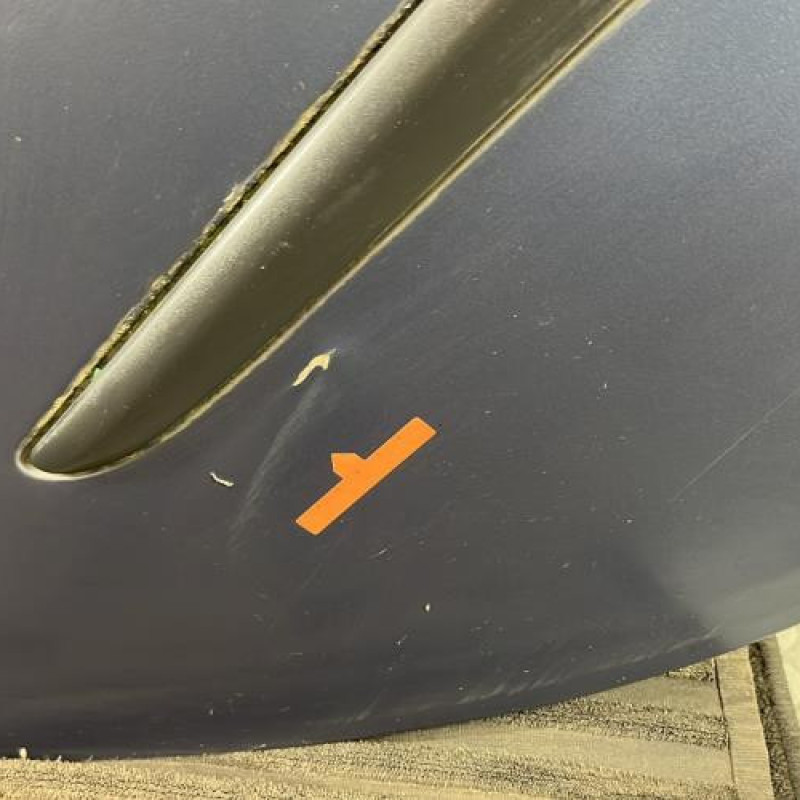 Porte arriere droit RENAULT CLIO 3 Photo n°3