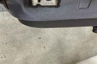 Porte arriere droit RENAULT CLIO 3