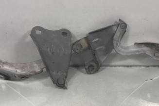 Charniere de capot RENAULT TWINGO 2 Photo n°1