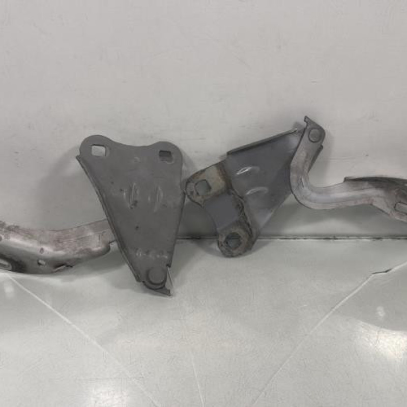 Charniere de capot RENAULT TWINGO 2 Photo n°1