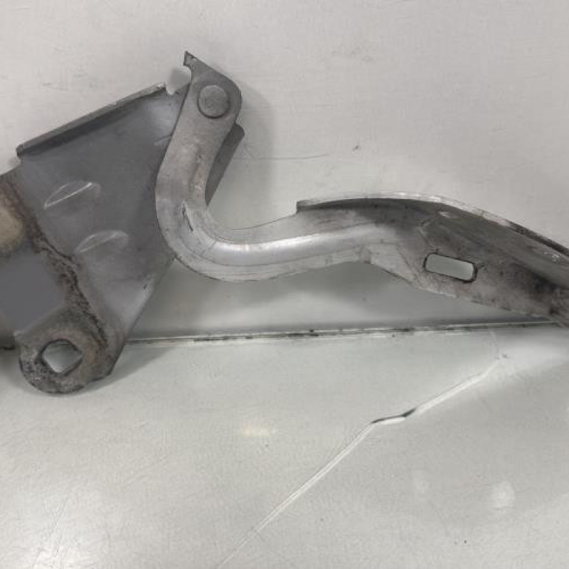 Charniere de capot RENAULT TWINGO 2 Photo n°2