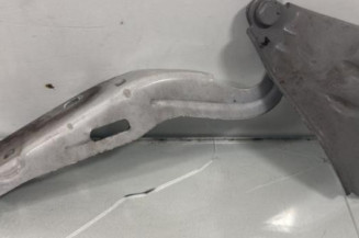 Charniere de capot RENAULT TWINGO 2