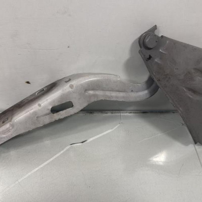 Charniere de capot RENAULT TWINGO 2 Photo n°3