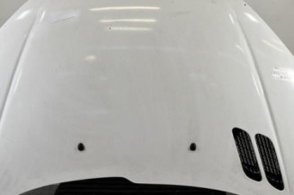 Capot PEUGEOT 206 Photo n°1