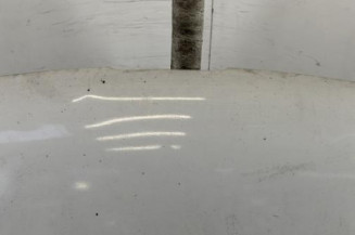 Capot PEUGEOT 206