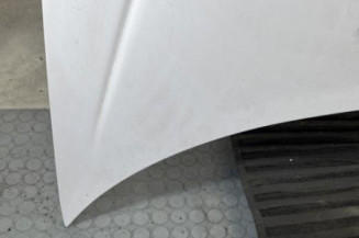 Capot PEUGEOT 206