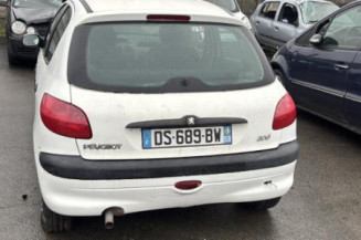 Capot PEUGEOT 206