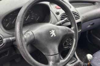 Capot PEUGEOT 206