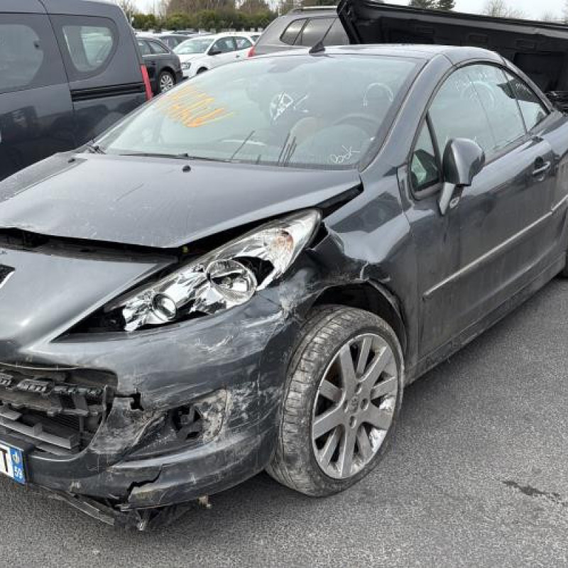 Porte avant droit PEUGEOT 207 Photo n°7