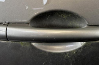 Porte arriere droit RENAULT MODUS