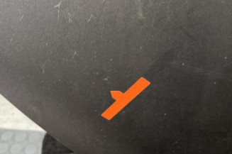 Porte arriere droit RENAULT MODUS