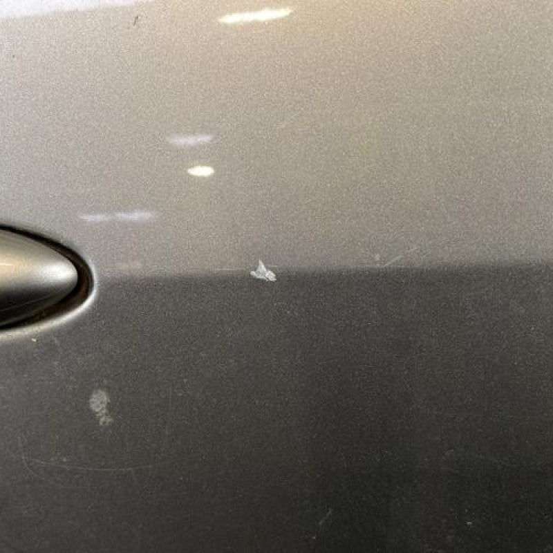 Porte arriere droit RENAULT MODUS Photo n°4