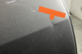 Porte arriere droit RENAULT MODUS