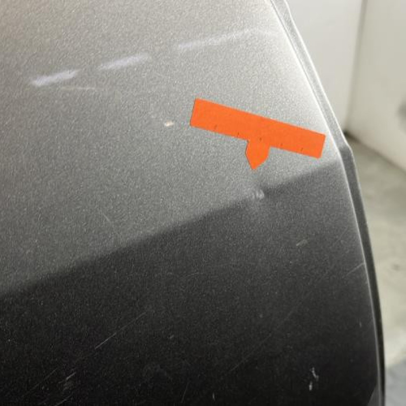 Porte arriere droit RENAULT MODUS Photo n°5