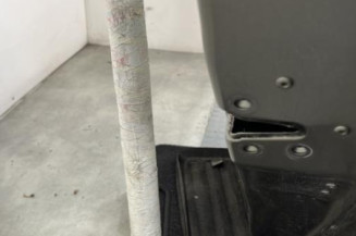 Porte arriere droit RENAULT MODUS