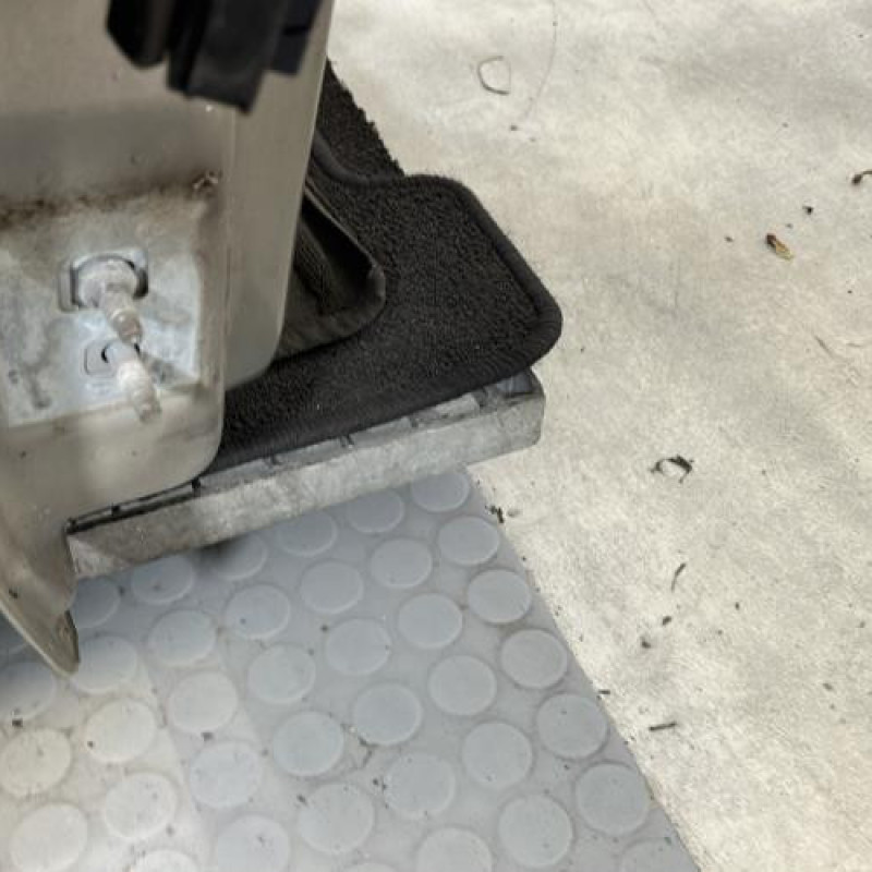 Porte avant droit RENAULT MODUS Photo n°5